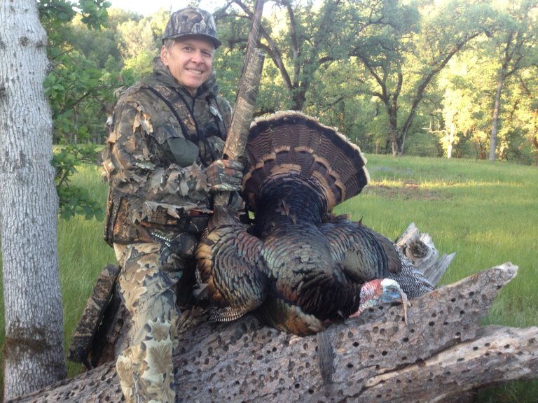 Northern California Turkey Just For Hunting