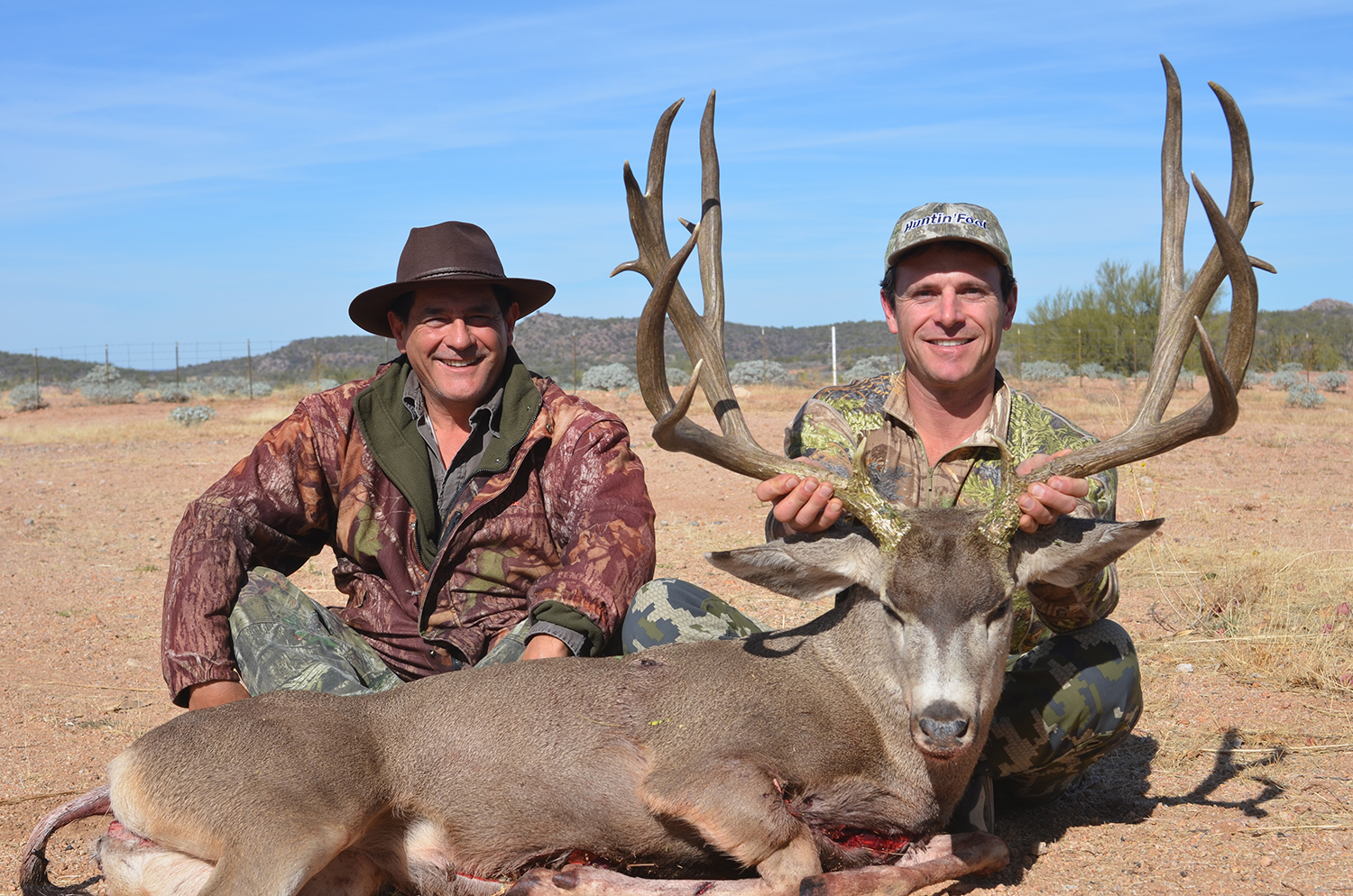 Desert Mule Deer - Just For Hunting